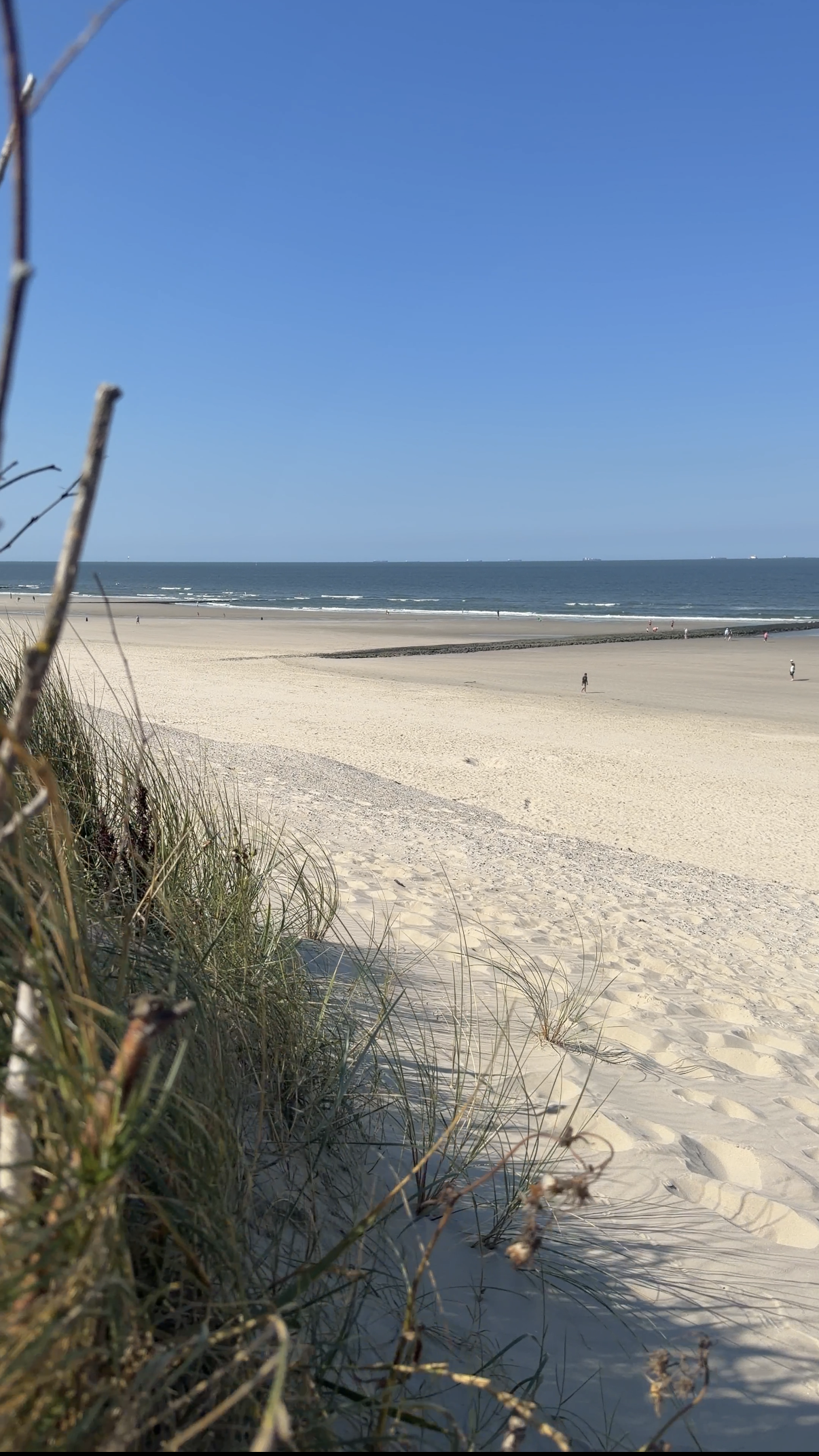 Strand auf Wangerooge